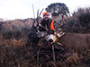 Rob Multari with Mule Deer